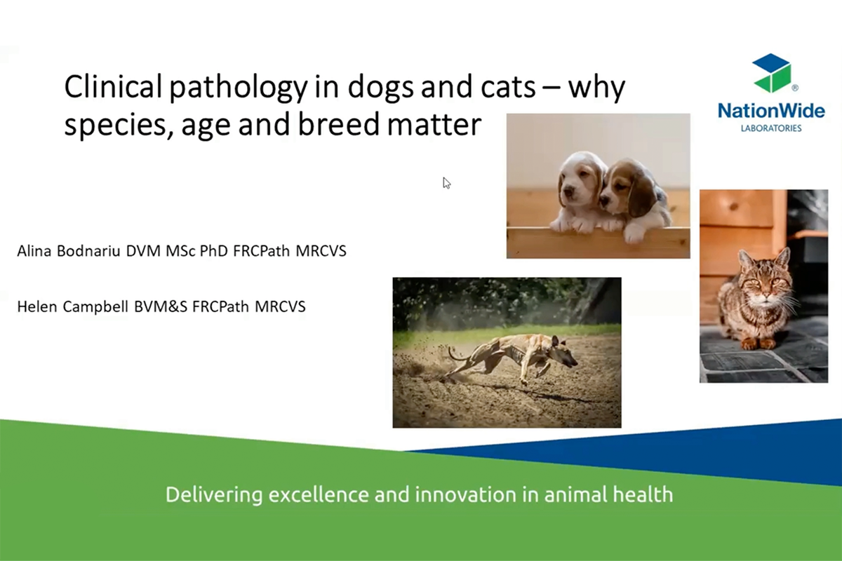 Clinical pathology in cats and dogs: Why species, breed and age matter