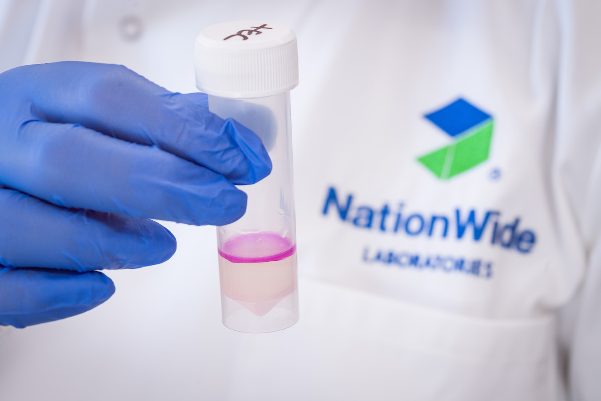Food Microbiology Newsletter #5