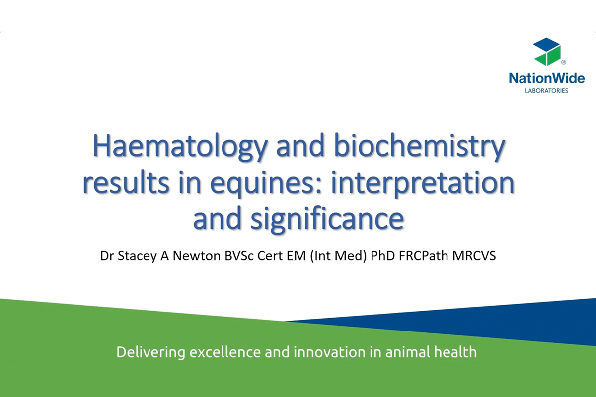 Haematology and biochemistry results in equines: Interpretation and significance
