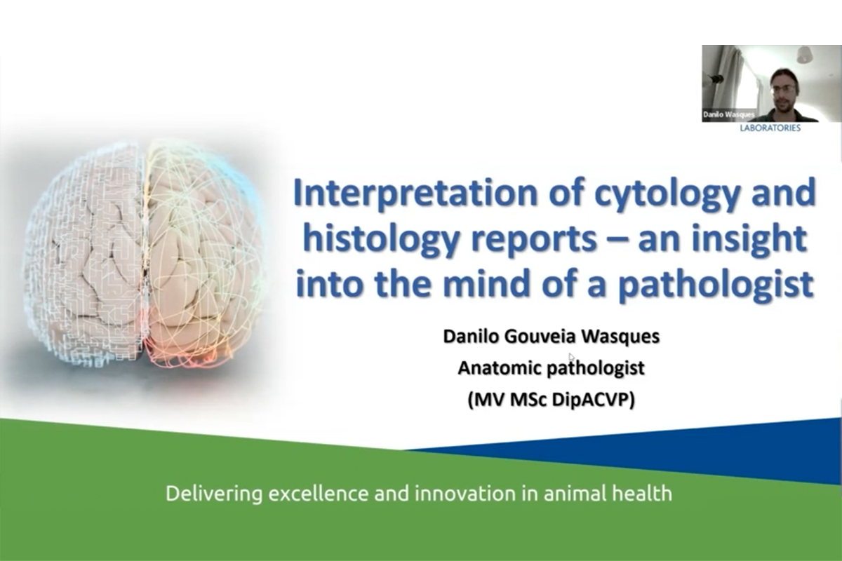 Interpretation of cytology and histology reports – an insight into the mind of a pathologist