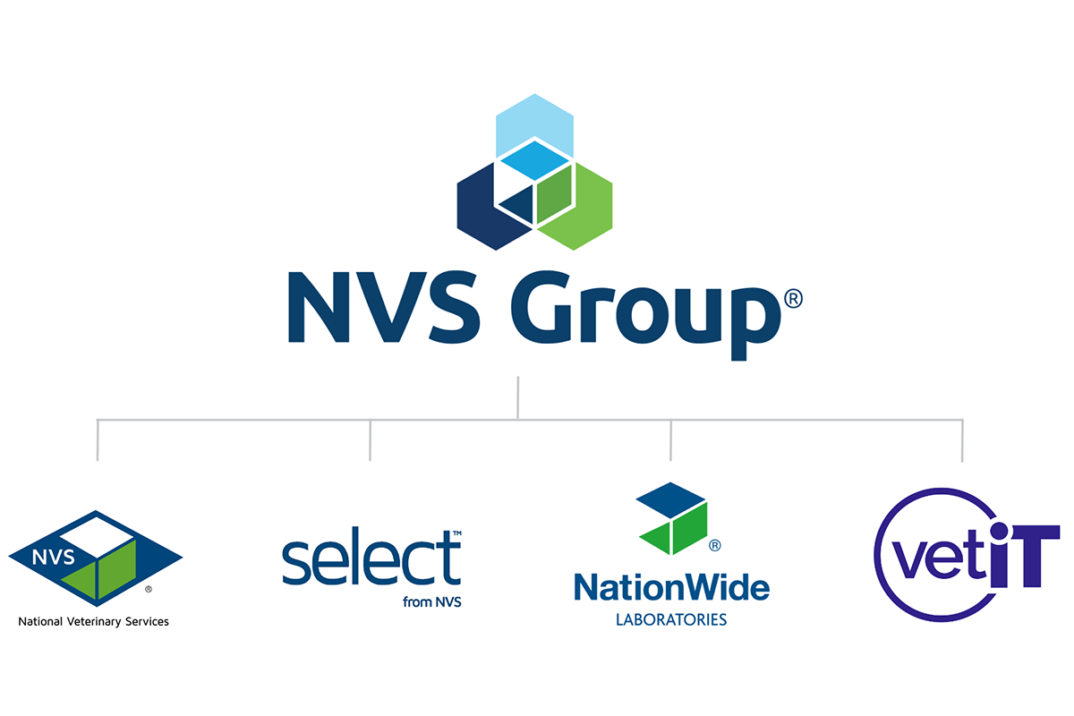NVS Limited launches new group identity